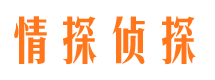 蒲县市婚姻出轨调查